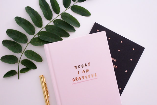 Today I am grateful pink book